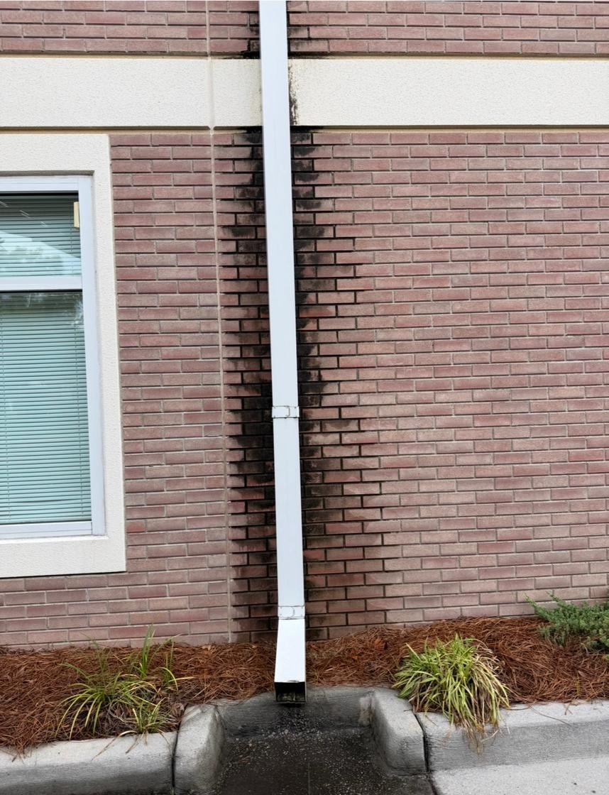 Before — Window Washing